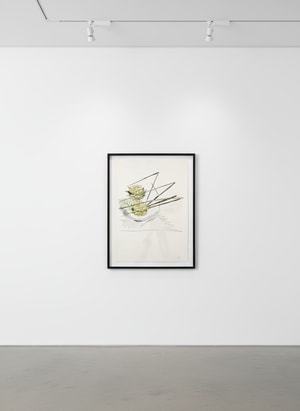 Andy Warhol - Flowers (Hand Colored) F.S. II.116