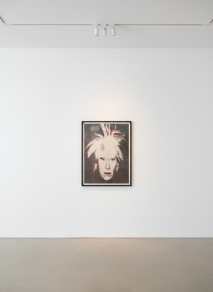 Andy Warhol - Fright Wig