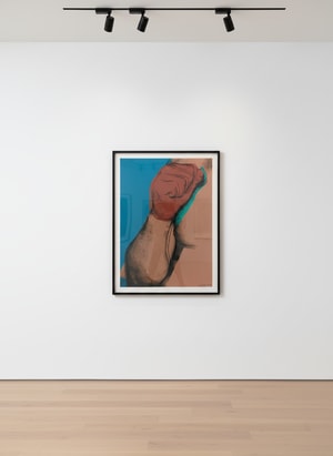 Andy Warhol - Muhammad Ali F.S. II 181