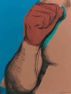 Andy Warhol - Muhammad Ali F.S. II 181