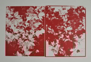 Andy Warhol - Poinsettias F.S. IIIA 52