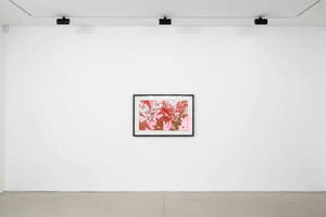 Andy Warhol - Poinsettias F.S. IIIA 52