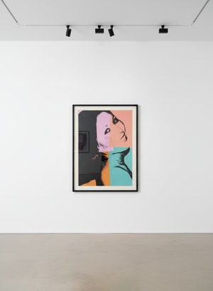 Andy Warhol - Sachiko F.S. II 154