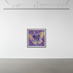 Andy Warhol - San Francisco Silverspot Butterfly F.S. II 298