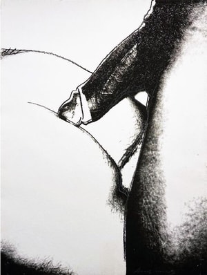 Andy Warhol - Sex Parts (FS II.174)