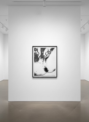 Andy Warhol - Sex Parts (FS II.175)