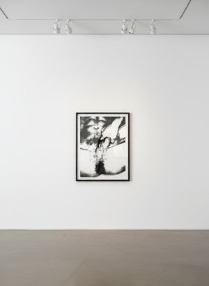 Andy Warhol - Sex Parts (FS II.177)