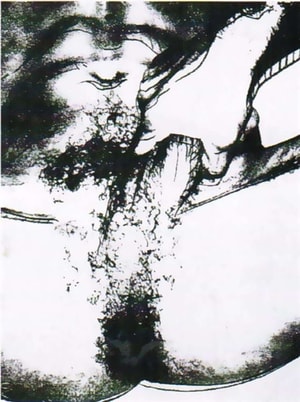 Andy Warhol - Sex Parts (FS II.177)