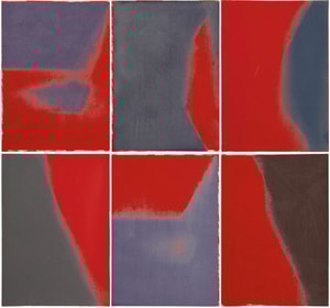 Andy Warhol - Shadows I F.S. II 204-209