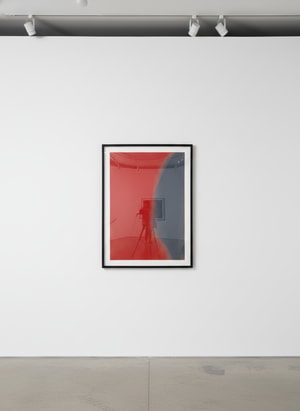 Andy Warhol - Shadows I F.S. II 205