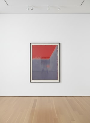 Andy Warhol - Shadows I F.S. II 208