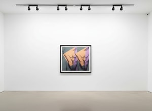 Andy Warhol - Torso (Double) F.S. IIIA 35