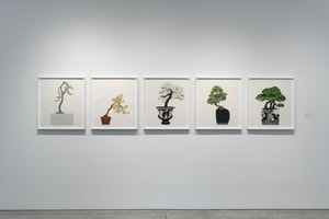 Five Bonsais Edition of 35 (2024) — Jonas Wood | Guy Hepner
