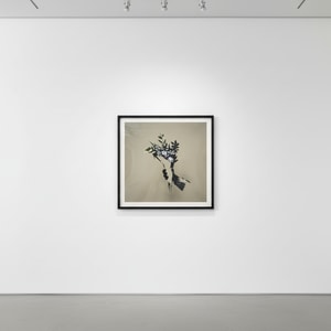 Banksy - Bunch of Flowers