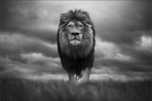 Björn persson - King of Kings