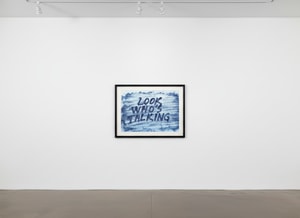 Mel Bochner - Look Who's Talking