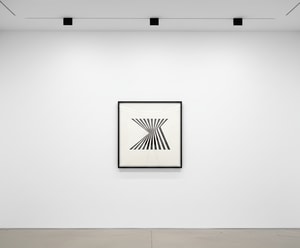 Bridget Riley - Fragment 1