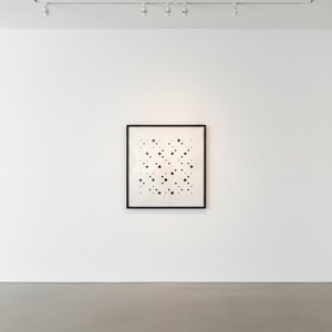 Bridget Riley - Fragment 6