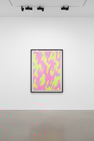 Bridget Riley - Magenta And Green