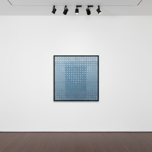 Bridget Riley - Nineteen Greys D