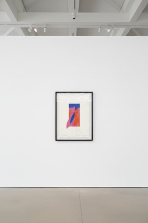 Bridget Riley - One Small Step