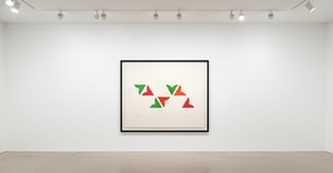 Bridget Riley - Opening Up