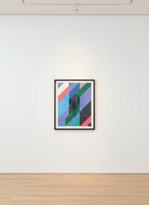 Bridget Riley - Shade