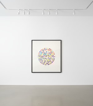 Damien Hirst - Cephalothin