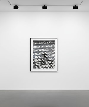 Damien Hirst - Dead Black Brilliant Utopia