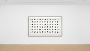 Damien Hirst - Diacetoxyscirpenol