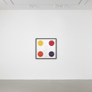 Damien Hirst - Elaidoyl Chloride