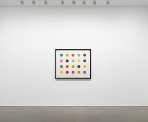 Damien Hirst - Esculetin