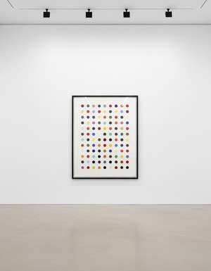 Damien Hirst - Flumequine