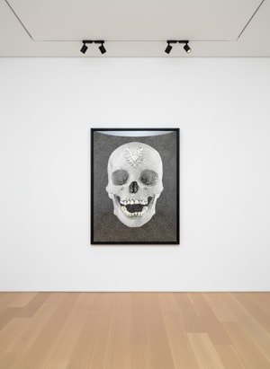 Damien Hirst - For the Love of God (enlightenment)