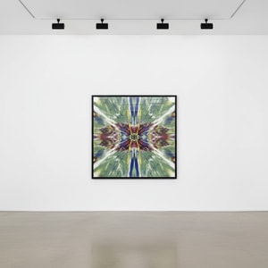 Damien Hirst - H1 -3 Enter The Infinite - Supernatural