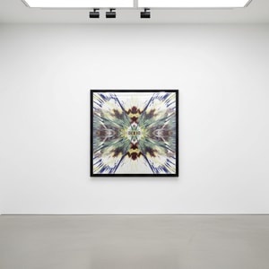 Damien Hirst - H1 -4 Enter The Infinite - Trance