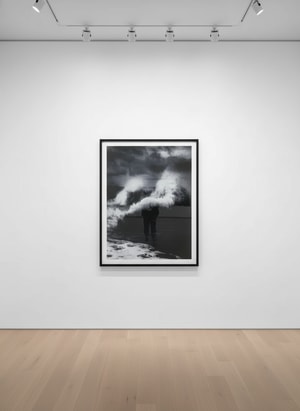 Damien Hirst - H13-11 Faneel