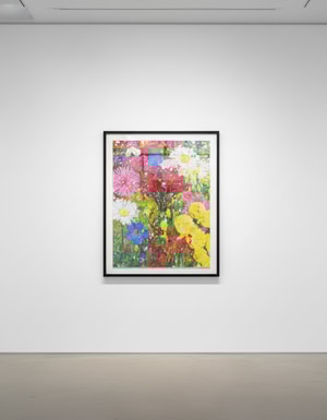 Damien Hirst - H14-5 Reassurance