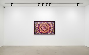 Damien Hirst - H18-1 Harlequin