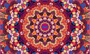 Damien Hirst - H18-1 Harlequin