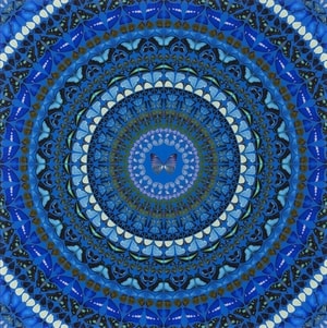 Damien Hirst - H6-9 Water