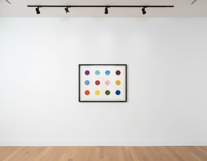 Damien Hirst - Isovanillin