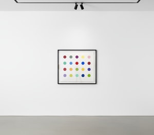 Damien Hirst - Lauric Acid Butyl Ester