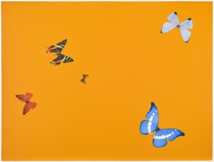 Damien Hirst - Lessons in Love (Be Careful)