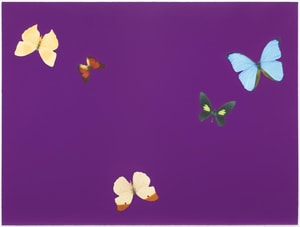 Damien Hirst - Lessons in Love (Be Thoughtful)