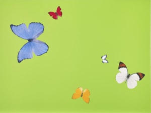 Damien Hirst - Lessons in Love (Be Trusting)