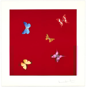 Damien Hirst - Love Poems (She Walks In Beauty)