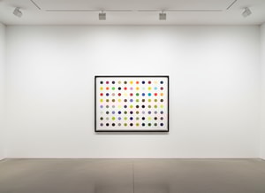 Damien Hirst - M-Fluorobenzoyl Chloride