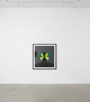 Damien Hirst - Memento 2