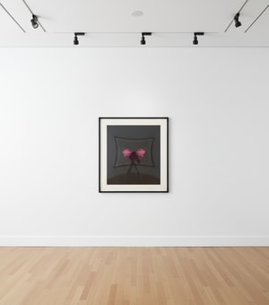 Damien Hirst - Memento 4